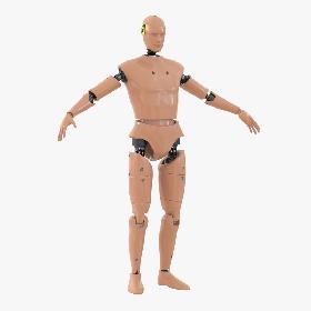 Male Crash Test Dummy